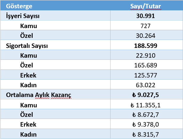 Aydın’da En Çok Yağış Alan Ay: 2026 İçin Net Rehber - Kapak Görseli